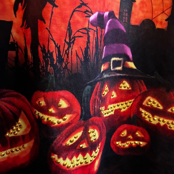 Gloria Vanderbilt ladies jack-o’-lanterntop size medium - Picture 3 of 5